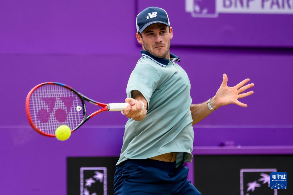 体阵容的均 体阵容的均