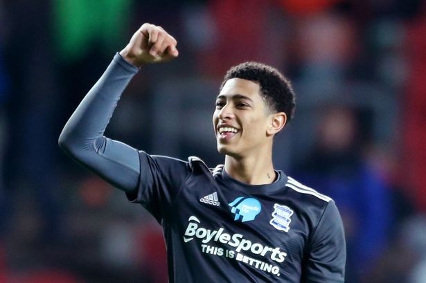 解读本届 解读本届